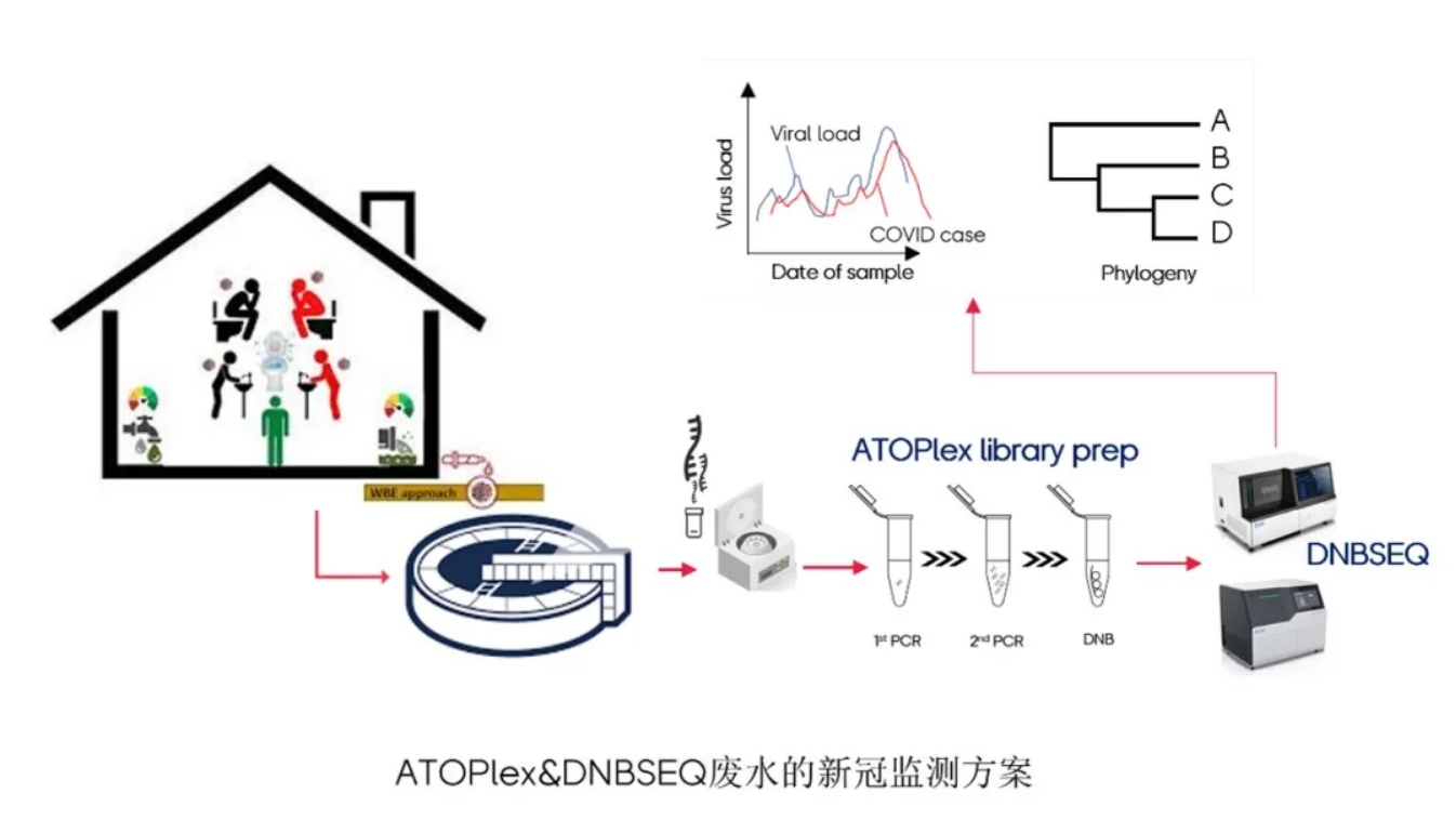 在南非廢水發(fā)現(xiàn)Omicron！華大智造ATOPlex技術(shù) + DNBSEQ平臺革新廢水流行病學(xué)研究方法